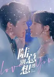 《陆总别想逃》：甜宠升级，看霸道总裁如何花式追妻！剧情反转，高甜预警！