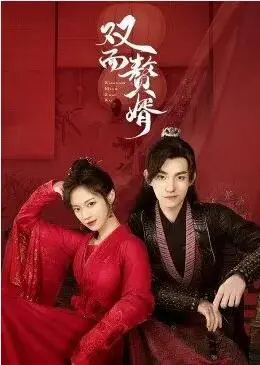 《双面赘婿》：当两个身份碰撞，看小伙如何玩转豪门，逆袭人生！