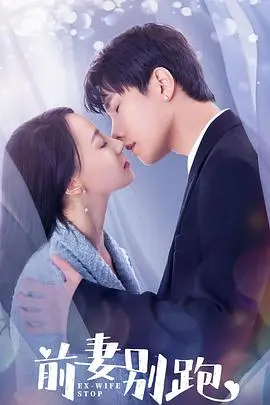 《前妻别跑》：离婚后的爆笑追妻路，看傲娇前夫如何重拾旧爱！