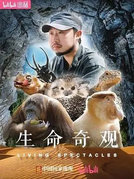 《生命奇观》：震撼人心的生命之旅，用镜头探索地球的奥秘！